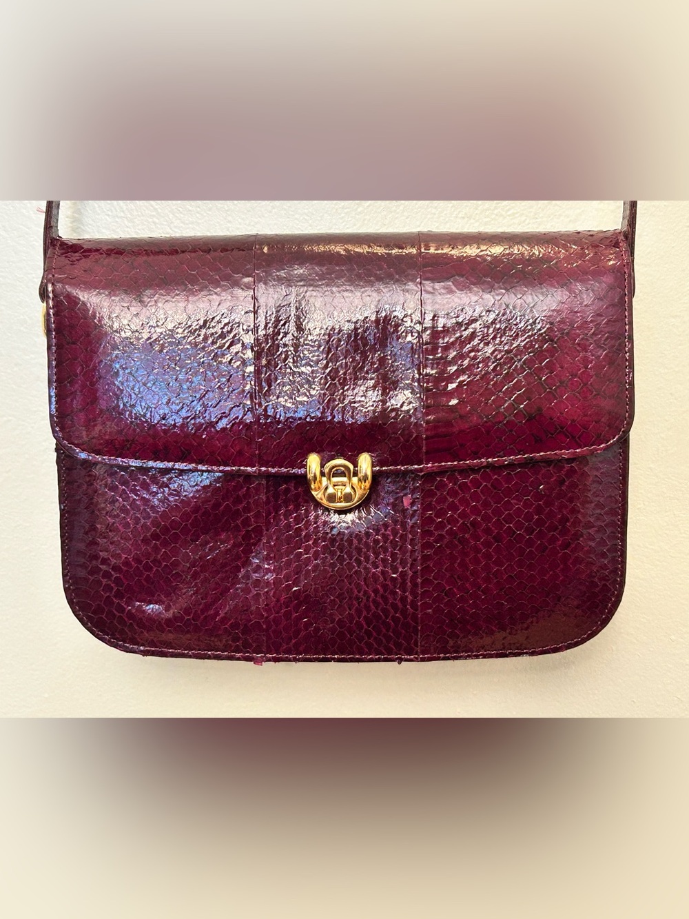 Vintage Snakeskin Red Crossbody Bag
